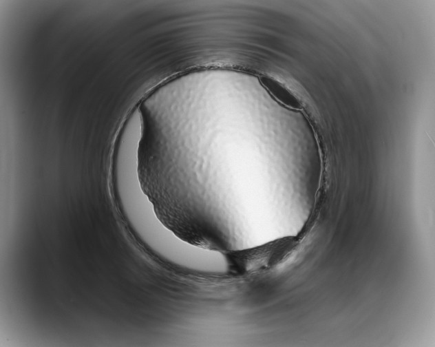 X0000088020850200706081440