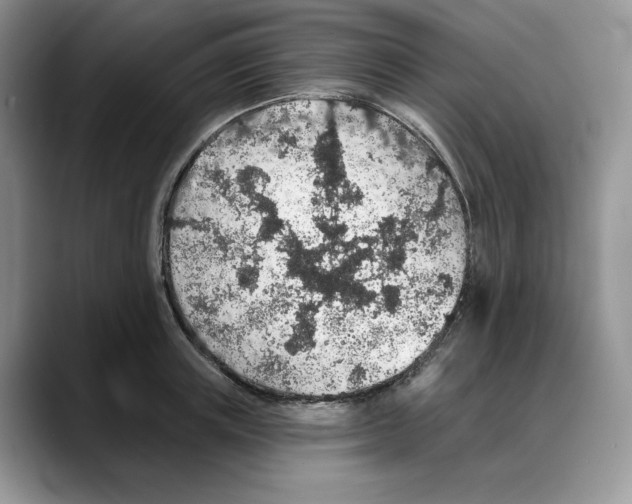 X0000088020851200706081440
