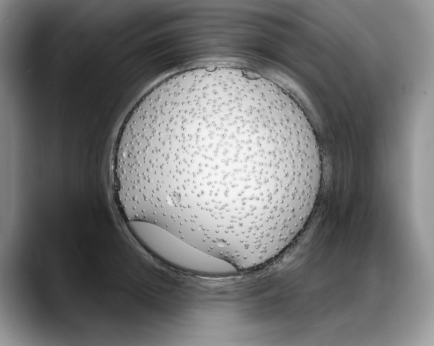 X0000088020852200706081440