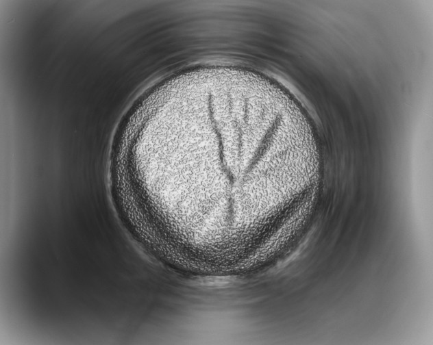 X0000088020853200706081440