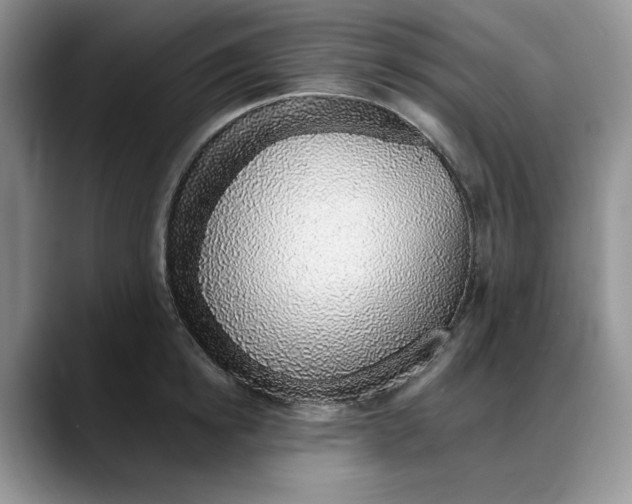 X0000088020854200706081440