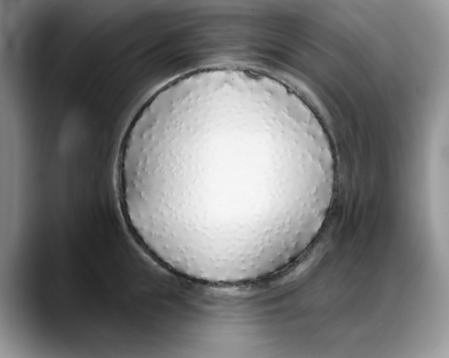 X0000088020855200706081440