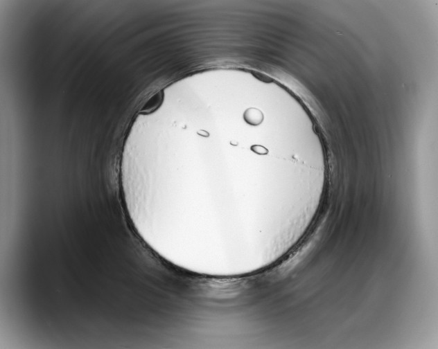 X0000088020857200706081440