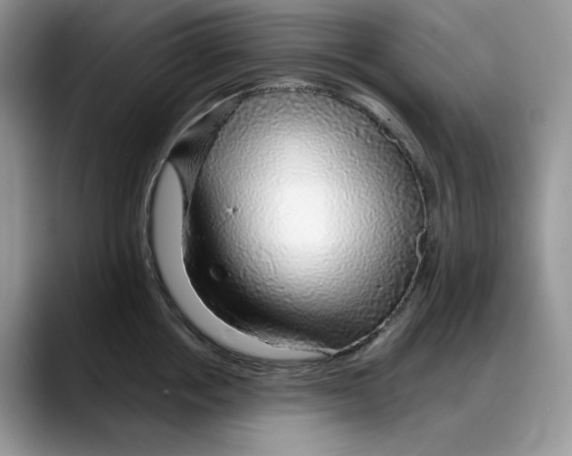 X0000088020858200706081440