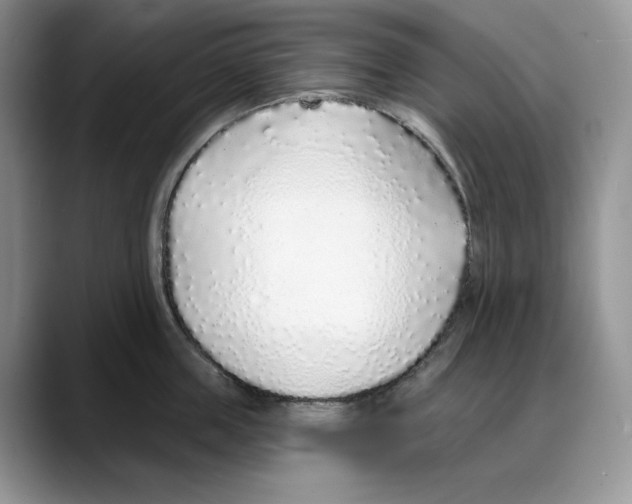 X0000088020859200706081440