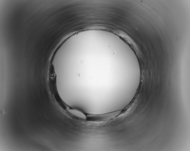 X0000088020860200706081440