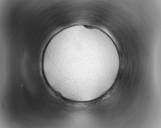 X0000088020861200706081440