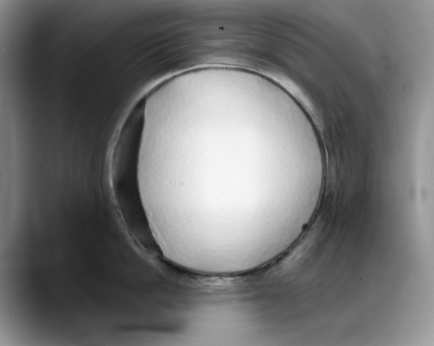 X0000088020862200706081440