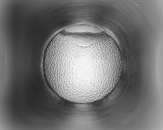 X0000088020863200706081440