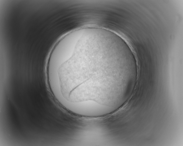 X0000088020864200706081440