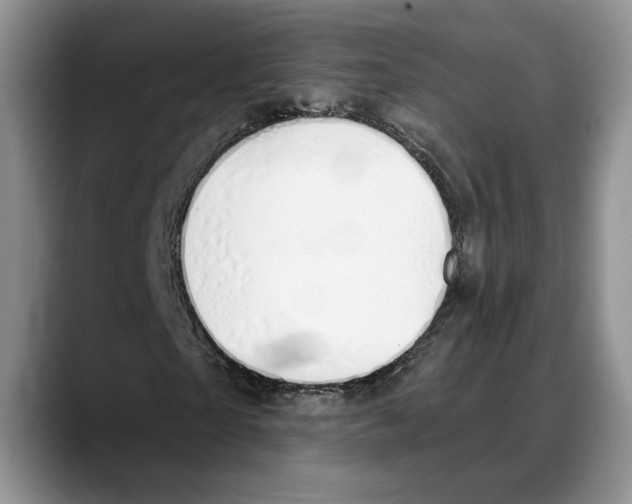 X0000088020865200706081439