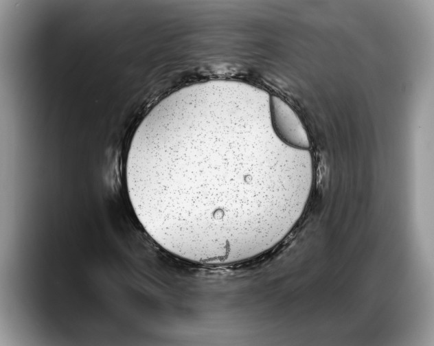 X0000088020866200706081439