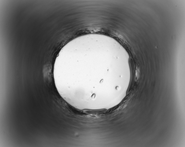 X0000088020867200706081439