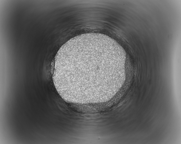 X0000088020868200706081439