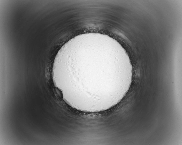 X0000088020869200706081439