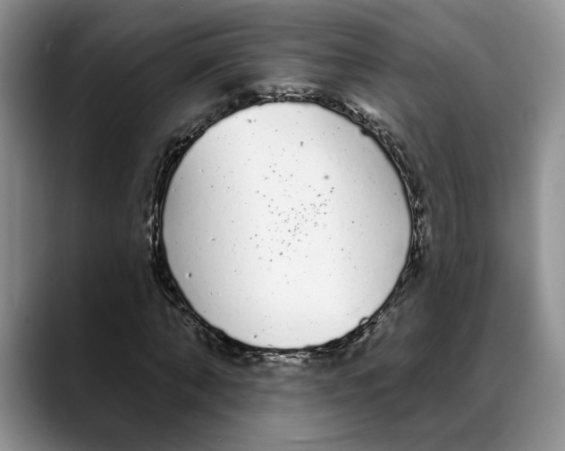 X0000088020870200706081439