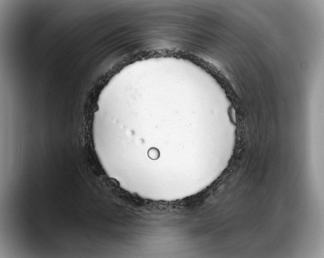 X0000088020871200706081439