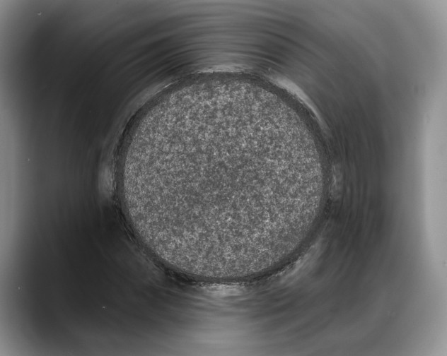 X0000088020874200706081439