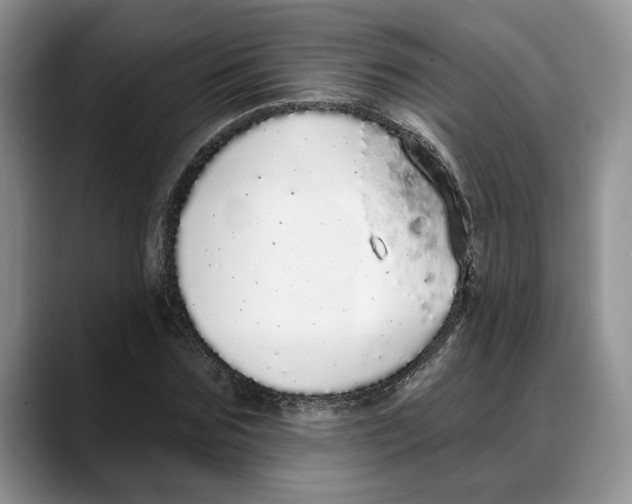 X0000088020875200706081439