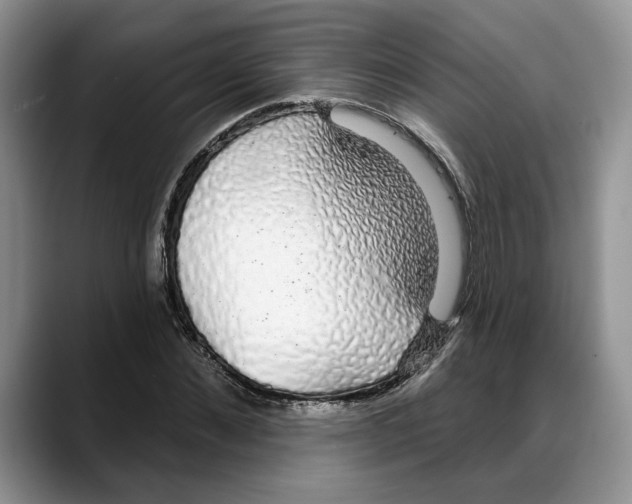 X0000088020876200706081439