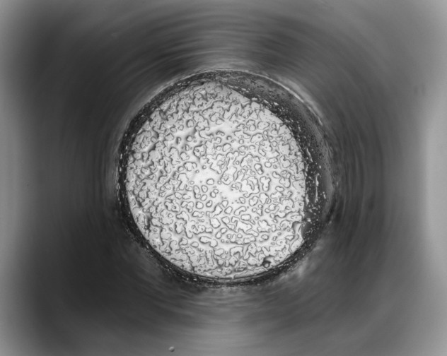 X0000088020877200706081439