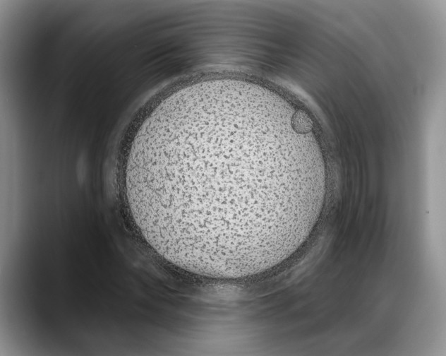 X0000088020878200706081439