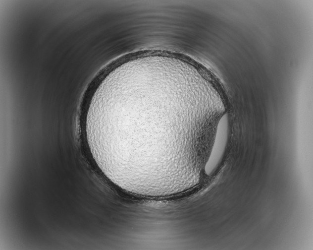 X0000088020880200706081439