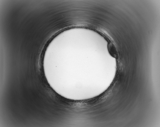 X0000088020883200706081439