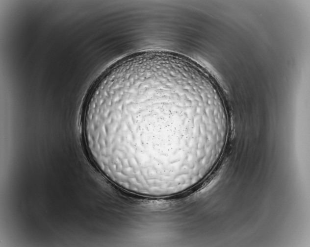X0000088020885200706081439