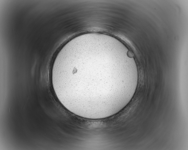 X0000088020886200706081439