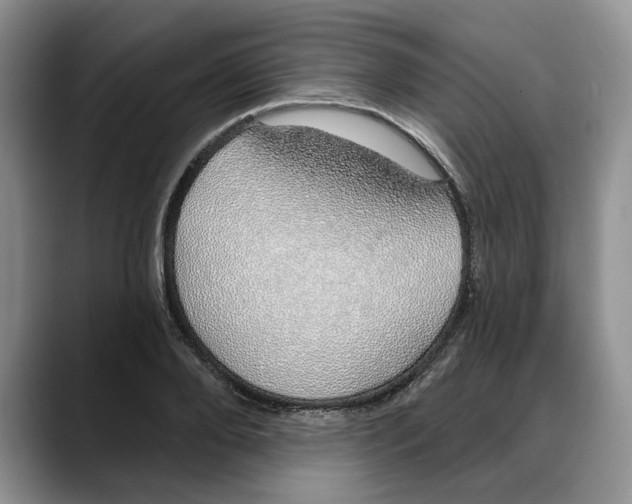 X0000088020888200706081439