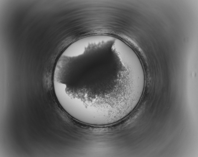 X0000088020889200706081439