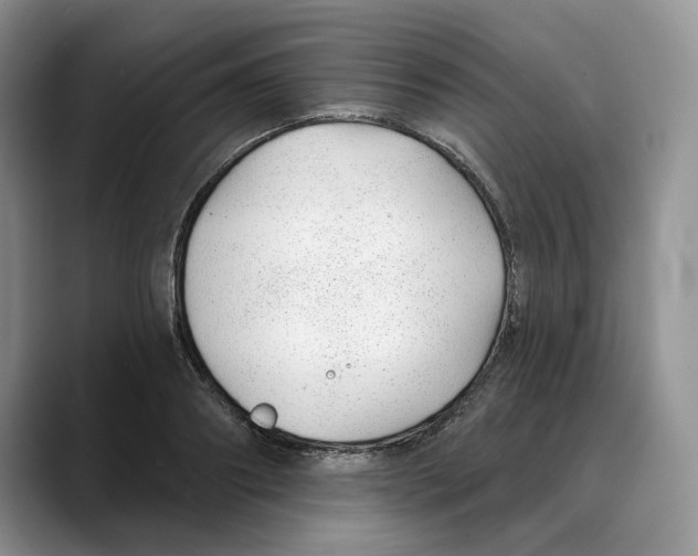 X0000088020890200706081439