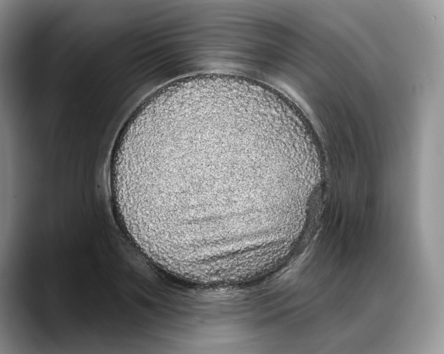 X0000088020891200706081439