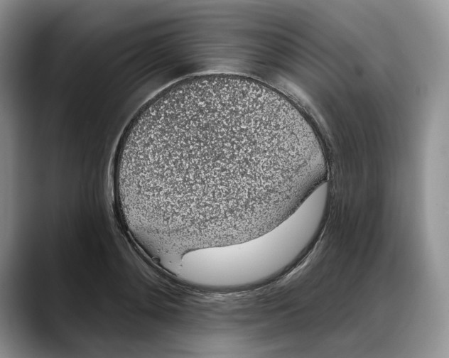 X0000088020892200706081439