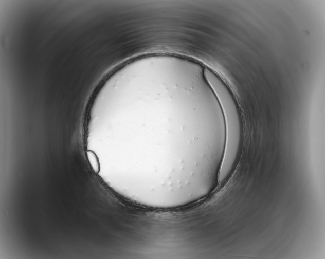 X0000088020896200706081439
