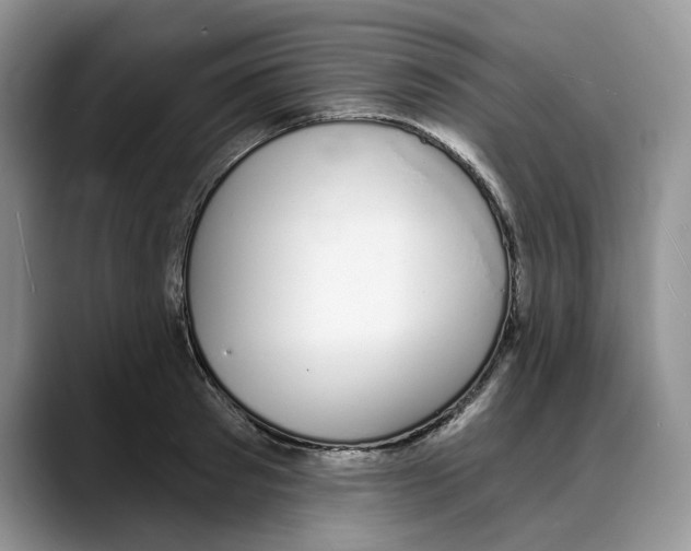 X0000088020897200706081439