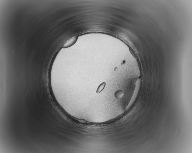 X0000088020898200706081439