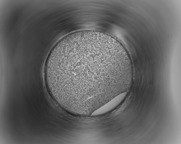 X0000088020899200706081439