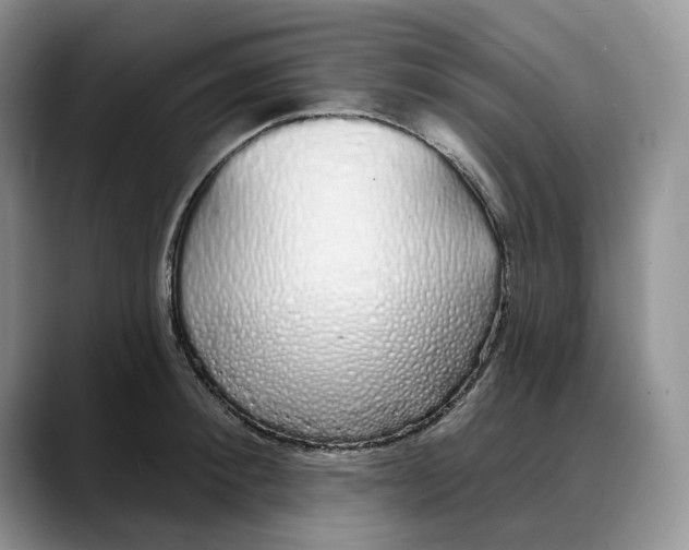 X0000088020900200706081439