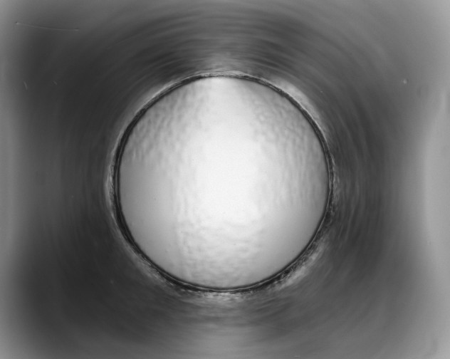 X0000088020901200706081439
