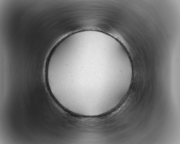 X0000088020902200706081439