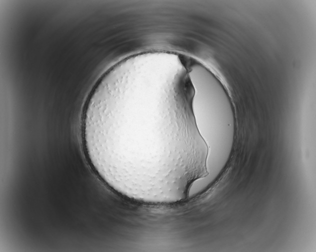X0000088020903200706081439