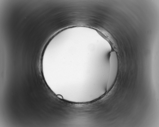 X0000088020904200706081439