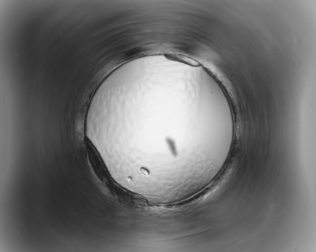 X0000088020905200706081439