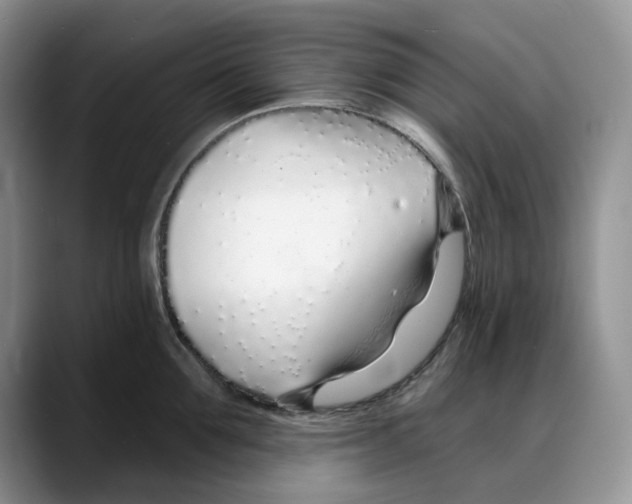 X0000088020907200706081439