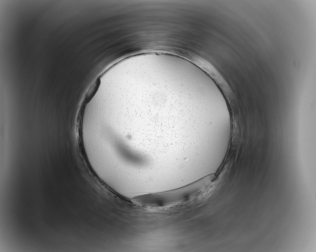 X0000088020908200706081439