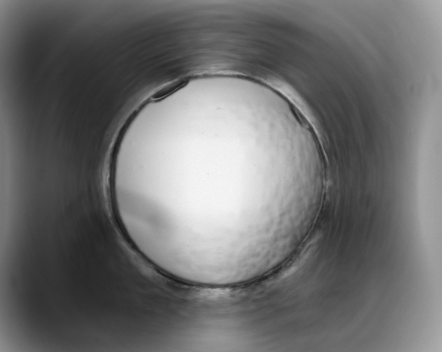 X0000088020909200706081439