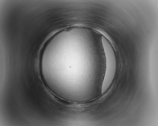 X0000088020910200706081439