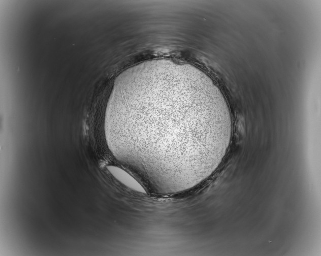 X0000088020914200706081438